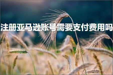 湖州网站推广 跨境电商知识:注册亚马逊账号需要支付费用吗